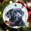 Black Lab Christmas Ornament Red Bird Design 3 Inch Flat 8