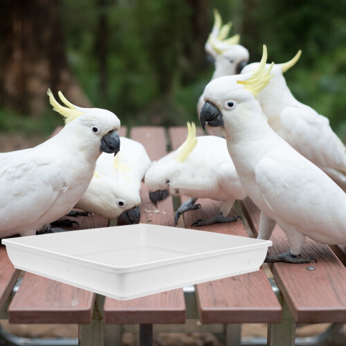 Bird Water Bowl Replacement Plastic 2 pcs 2
