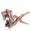 Grafting Tools for Fruit Trees Garden Grape Vine Graft Tool Cutter Pruning Plant Cut Floristry Seedle Shear 5