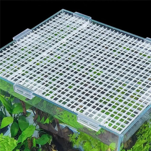 10 Pcs Aquarium Fish Tank Isolation Plate Divider Filter Patition Board Net Plastic Separation Divider Board 2