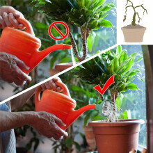 4 Pièces de Remplacement Universel de Tête de Rose D'Arrosoir de Jardin, Outil D'Arrosage de Jardin de Remplacement de Buse de Capuchon de Bec