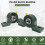 2 Pack UCP204-12 Pillow Block Mounted  Bearing - 3/4 Inch Bore - Solid Cast Iron Base - Self Aligning 2