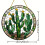 Acrylic Wall Hanging Ornament Green Home Decor 1pc 3