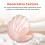 Γυναικείος Κεραμικός Δίσκος με Κοχύλια Ροζ1Σετ 7