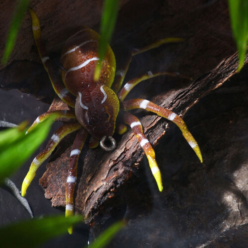 Δόλωμα ψαρέματος Phantom Spider, 3", αυτορυθμιζόμενο έρμα, δόλωμα χωρίς ζιζάνια για 2