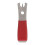 Pince Coupe- Acier Compacte Confortable 1