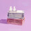 Plastic Foldable Storage Crate Folding Box Basket Stackable Cute Makeup Jewellery Toys Boxes for Storage Box Organizer Portable 5