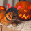 Pet Plush Cat Headgear Soft Windproof Breathable 3