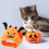 Pet Plush Cat Headgear Soft Windproof Breathable 4