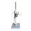 Knee Joint Model Simulation Replacement Surgery Meniscus Ligament Cartilages Surgery Model,Artificial Knee Joint 5