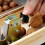Heavy Duty Nut Cracker Machine for Pecan, Walnuts, Hazelnuts, Almonds, and More Manual Nutcracker 4
