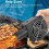BBQ 5V Blower Fan Ariable Speed Controller, Squirrel Cage Blower Fan for DIY Cooling Projects, BBQ, Drum Smoker 2