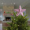 Purple Foam Christmas Tree Topper Star 20cm 2