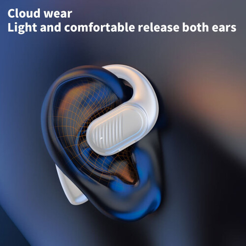 Bluetooth True Wireless Earbuds with Noise Cancellation and 1
