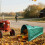 Leaf Dustpan and Reusable Lawn Bag for Leaves Debris Grass 3