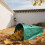 Leaf Dustpan and Reusable Lawn Bag for Leaves Debris Grass 7