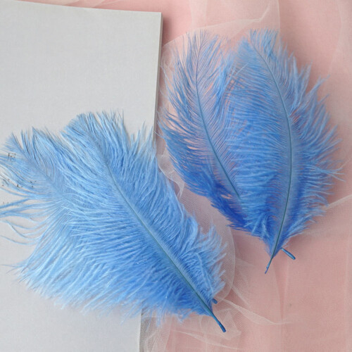 Ostrich Feathers Colorful 50 Pcs 2