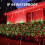 Χριστουγεννιάτικα φωτάκια Dazzle Bright360-LED με δίχτυ, 12ft x 5ft, αδιάβροχα, 8 λειτουργίες, 3
