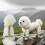 Dog Anti-Dust Pants Waterproof Adjustable Suspender 6