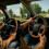 Capa de volante estilo cowboy retrô, tamanho universal de 15 polegadas. 5