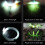 Gemstone Identification Flashlight, Portable Jade Tester Torch,  LED Light for Jewelry Appraisal White Light 7