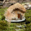Train Landscape Materials Grass Brown Wood Model 2
