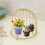 Gold Birdcage Display Stand Single-Tier Dessert Tray 6