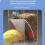 Automatic Parrot Feeder with Timer and 2.5L Storage 3
