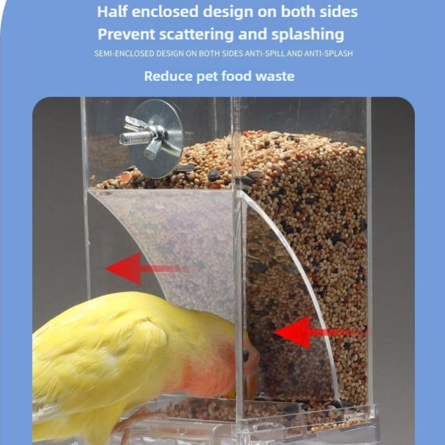 Automatic Parrot Feeder with Timer and 2.5L Storage 2