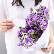 Place Cards 120 Small Tent Cards with Gold Foil Borders, Suitable for Weddings, Banquets, Table Cards, and Name Cards