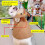Dog Christmas Cape Coat with D-Ring for Small Pets 4