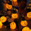 Pumpkin String Lights USB LED 9.8FT or 19.6FT 4