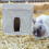 5Pièces Porte- Suspendu Pour Cochons D'inde Hamsters 3