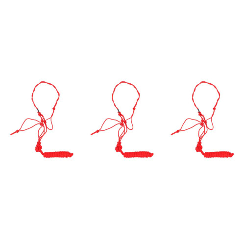 3Pcs Durable Halters for Training Practical and Easy-to-Use 2