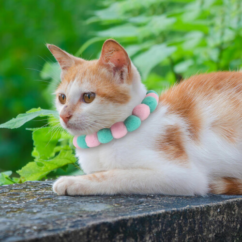 Collier Peluche Pour Animaux Confortables Multicolores 2