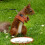 Coffee Small Pet Leash Kit For Walking 1set 6