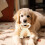 Tough Dog Chew Toy for Aggressive Chewers Medium Large 6
