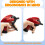 Spray Bottle Nozzle Replacement Compatible for Zep for 8, 16, 24, 32oz Bottles,Adjustable Output,Leakproof,2-Pack 3