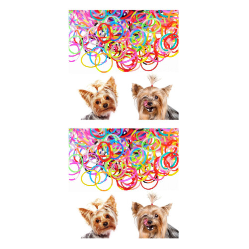 340Pièces Bandes Élastiques Colorées Pour Animaux Accessoires Cheveux