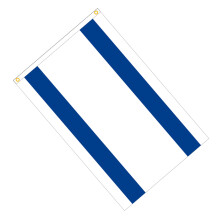 Israel Flag Blue-White Polyester 90x150cm 310g