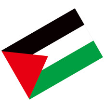 Palestine Flag 90x150cm 310g Vivid Color