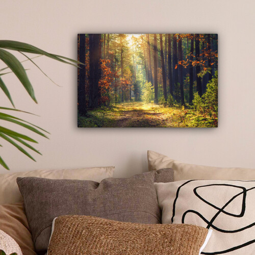 Framed Canvas Wall Art 1