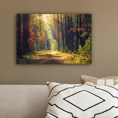 Framed Canvas Wall Art 2