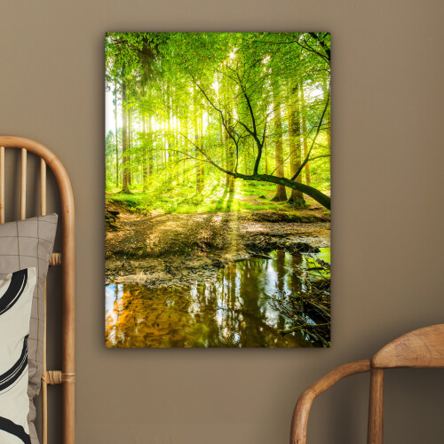 Framed Canvas Wall Art 2