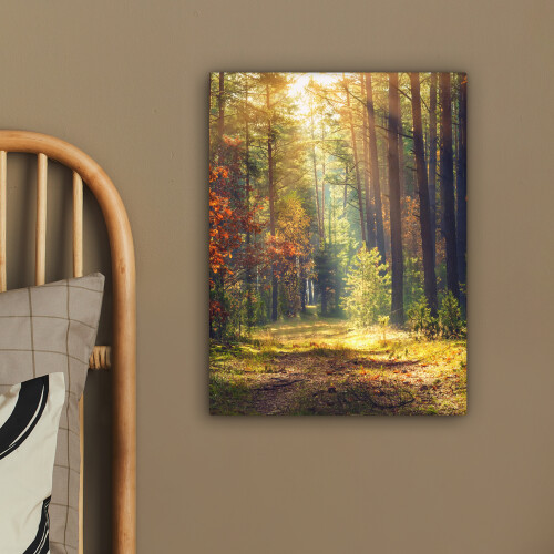 Framed Canvas Wall Art 2