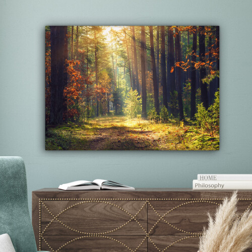 (Forest path, 31"x24") Framed Canvas Wall Art 1