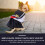1Pc Pet Clothes Small Dog Cat Skirt Breathable Polyester 5