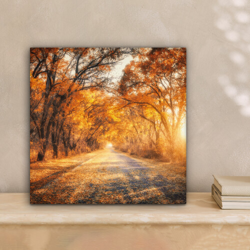 (Forest path, 8"x8") Framed Canvas Wall Art 1