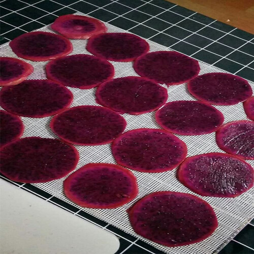 Dehydrator Sheet for Food Dehydrator,10 Pcs 29X37cm , Silicone Sheets, Fruit Dehydrator Mats, Silicone Dehydrator Sheets 2