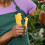 10Pcs Rose Thorn Stripper Tool Plastic for Easy Thorn and Leaf Removal 5
